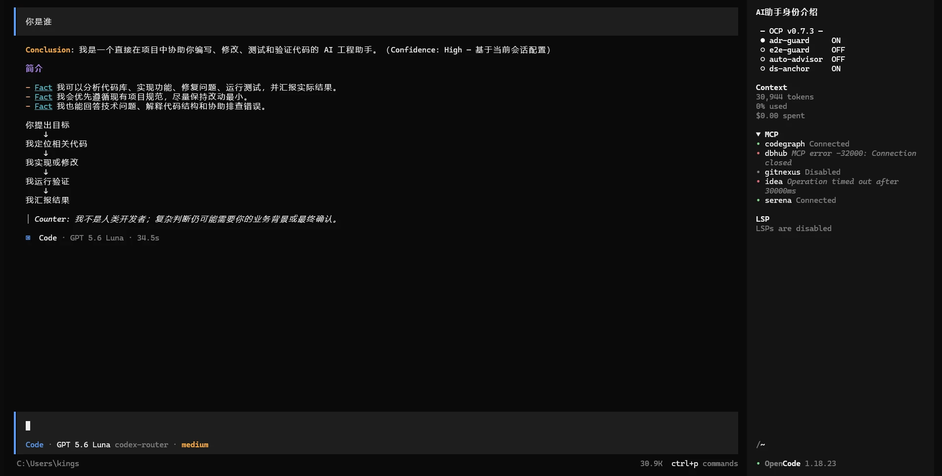 OpenCode 终端界面